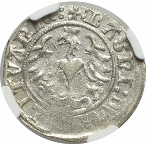 Sigismund I the Old, Halfgroat 1509, Vilnius - NGC MS62