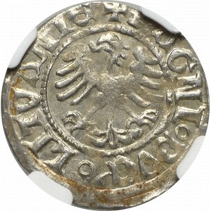 Alexander Jagellon, Halfgroat without date, Vilnius - NGC MS62