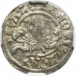 Alexander Jagelovský, polpenny bez dátumu, Vilnius - NGC MS61