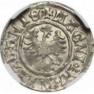 Alexander Jagelovský, polpenny bez dátumu, Vilnius - NGC MS61