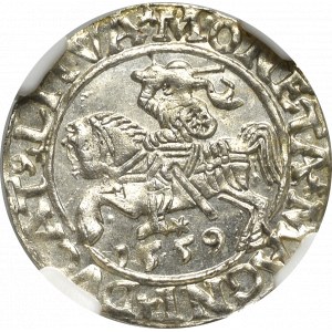 Zikmund II Augustus, půlpenny 1559, Vilnius - L/LITVA - NGC MS65