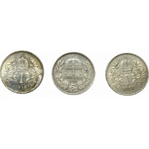 Austro-Węgry zestaw 1 korona 1893-1916 (3 egz)