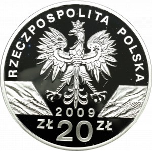 III RP, 20 złotych 2008 Jaszczurka Zielona
