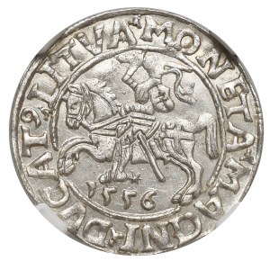 Zygmunt II August, Półgrosz 1556, Wilno - NGC MS66 - RZADKOŚĆ