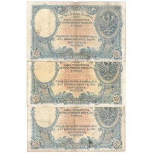 II RP, 100 złotych 28 lutego 1919 - zestaw 3 egzemplarze