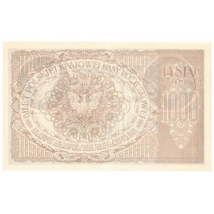 II RP, 1000 marek polskich 1919 ZI
