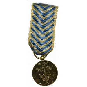 France, Miniature of the medal of the Nation's Gratitude