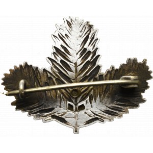 Austria-Hungary, Winter aid badge with iron cross