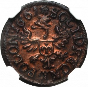 Jan II Kazimír, korunový šilink 1661, Ujazdów - NGC UNC Podrobnosti
