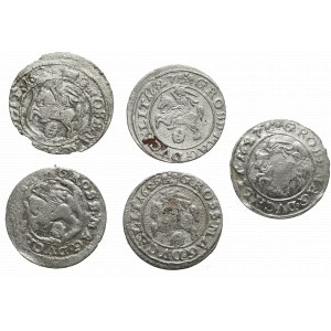 Sigismund III Vasa, Set of Vilnius pennies