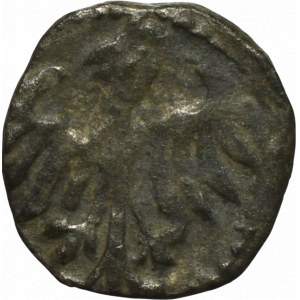 Ladislaus Varna, Denarius without date