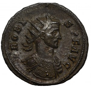 Římská říše, Probus, Antoninův Řím