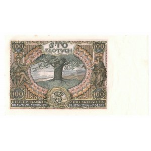 II RP, 100 Zloty 1934 AX. zusätzliches Strich-Wasserzeichen