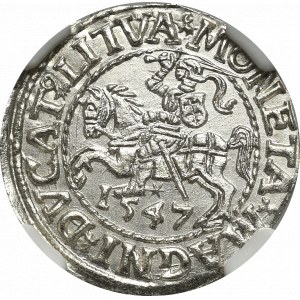 Sigismund II Augustus, Halfgroat 1547, Vilnius - NGC MS65