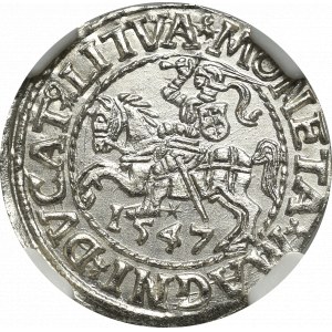 Zikmund II Augustus, půlpenny 1547, Vilnius - LI/LITVA - NGC MS66