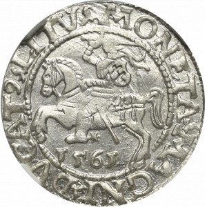 Sigismund II Augustus, Halfgroat 1547, Vilnius - NGC MS65