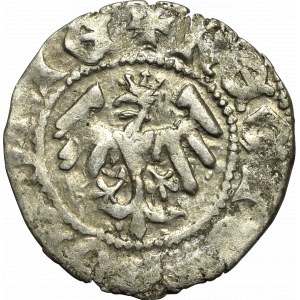 Vladislaus II Jagello, Halfgroat without date, Cracow