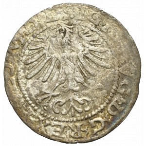 Sigismund II Augustus, Halfgroat 1564, Vilnius - L/LITVA