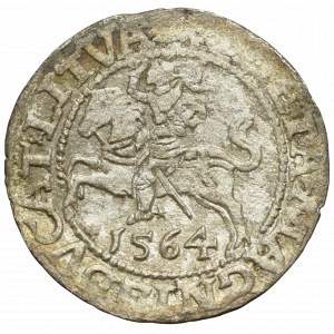 Sigismund II Augustus, Halfgroat 1564, Vilnius - L/LITVA