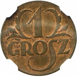 II Republic of Poland, 1 groschen 1923 NGC MS64RB