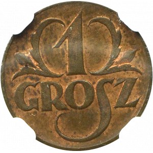 II Rzeczpospolita, 1 grosz 1923 - NGC MS64RB