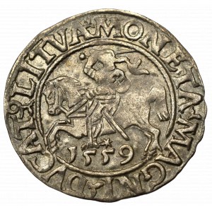 Sigismund II Augustus, Halfgroat 1559, Vilnius - L/LITVA