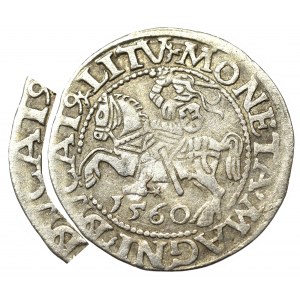 Sigismund II Augustus, Halbpfennig 1560, Wilna - unbeschrieben M/DVCAT