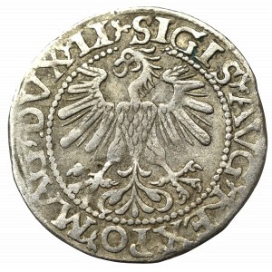 Sigismund II Augustus, Halfgroat 1560, Vilnius - unpublished M/DVCAT