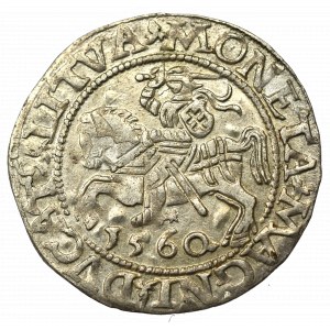 Sigismund II. Augustus, Halbpfennig 1560, Wilna - L/LITVA