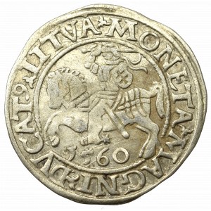 Zygmunt II August, Półgrosz 1560, Wilno - LI/LITVA