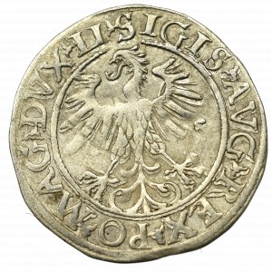 Sigismund II Augustus, Halfgroat 1560, Vilnius - LI/LITVA