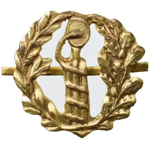 Poland, Polish Armed Forces, Shoulder emblem wz.1917 corps of doctors