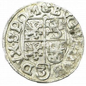 Pommern, Duchy of Stettin, Bugslaus XIV, 1,5 Groschen 1619, Rügenwalde