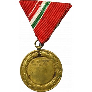 Hungary Medal Antal Csengery