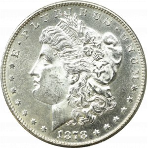 USA, Morgan Dollar 1878