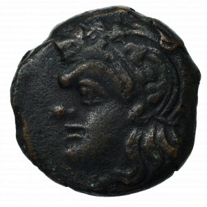 Greece, Panticapaeum, Ae19