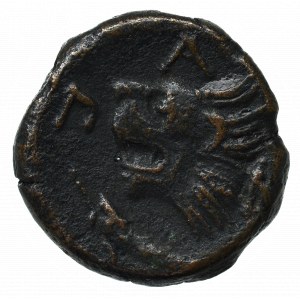 Greece, Panticapaeum, Ae19