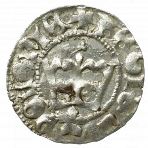 John I Olbracht, Halfgroat without date, Cracow