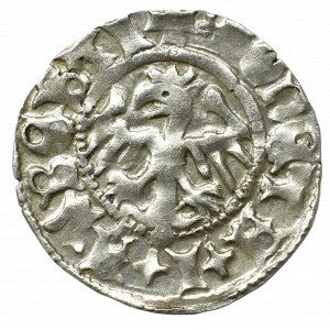 John I Olbracht, Halfgroat without date, Cracow