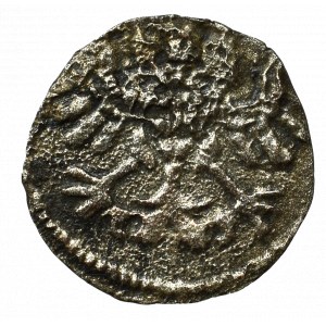 Sigismund I the Old, Denarius without date, Thorn
