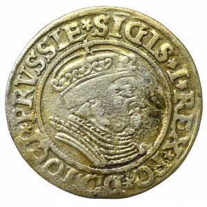 Sigismund I the Old, Groschen 1534, Thorn