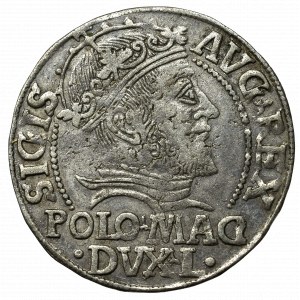 Sigismund II Augustus, Groschen 1547