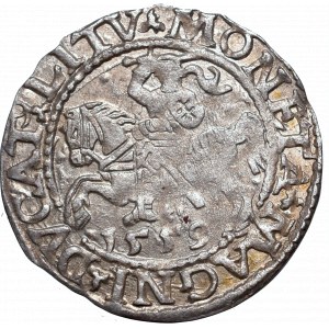 Sigismund II Augustus, Halfgroat 1559, Vilnius