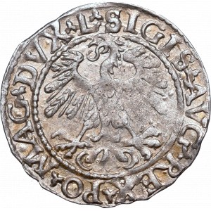 Sigismund II Augustus, Halfgroat 1559, Vilnius