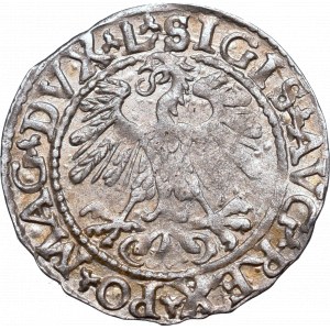 Sigismund II. Augustus, Halbpfennig 1559, Wilna - L/LITV