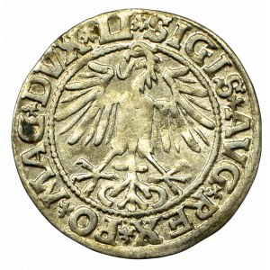 Sigismund II Augustus, Halfgroat 1549, Vilnius