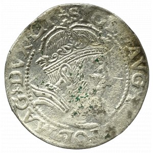 Sigismund II Augustus, Pfennig 1559, Vilnius - LIT/LITVA - RARE
