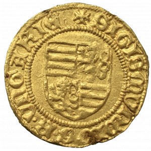 Zygmunt Luksemburczyk 1387-1437, Goldgulden