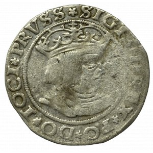 Sigismund I. der Alte, Pfennig für die preußischen Länder 1528, Toruń - PRVSS/PRVSS