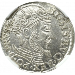 Sigismund II Augustus, Trojak 1557, Danzig - RARE - NGC MS62